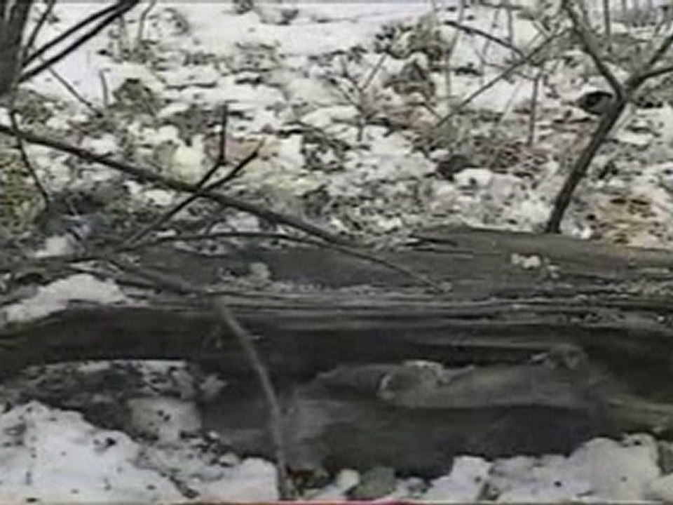 Economie Autonomisante, Activité, Autogestion, Nature ...25