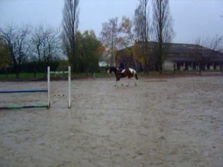 Tirelire : Travail au trot