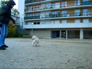 Tout depuis le début