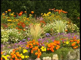 Maisons d'exceptions et jardins (2009)