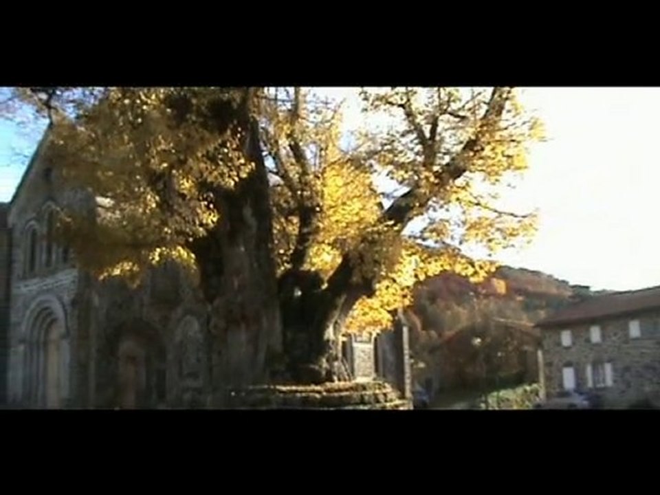 Le Tilleul (le Sully) de St Simon ( les 4 saisons)