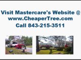 Myrtle Beach Tree Service - Tree Removal, Stump Grinding