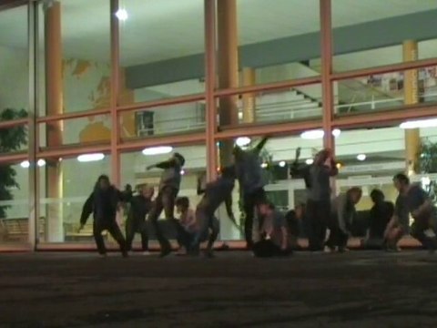 TN clip - campagne BDS ICN 2010