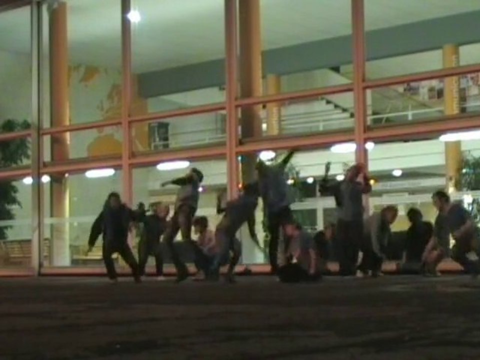 TN clip - campagne BDS ICN 2010