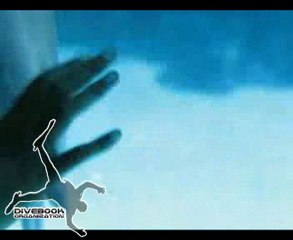 Yunusların İnanılmaz Gösterisi