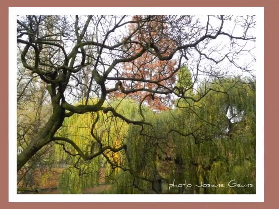 relaxation d'automne