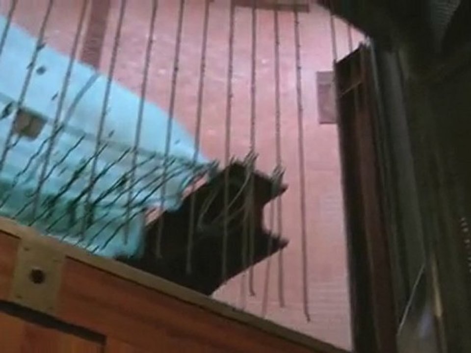 Übel und gefaehrlicher elbtunnel