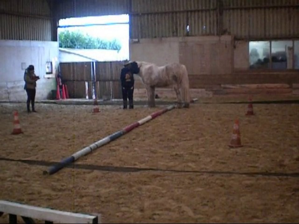 Equifeel à boisemont  2010