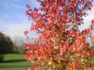 couleurs aquarelle nature et création amateur