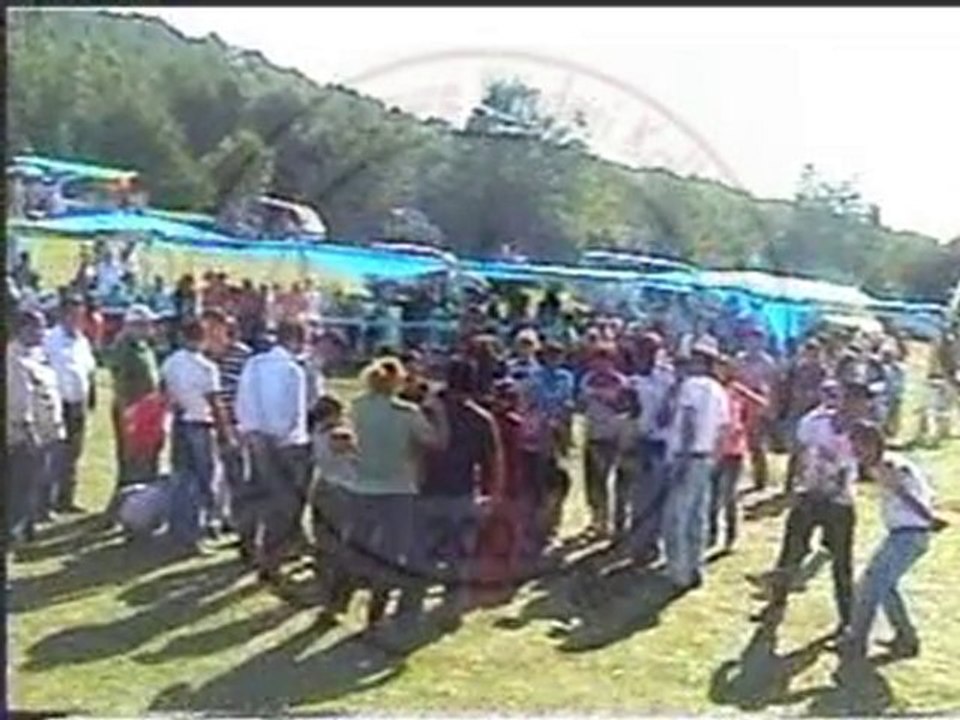 Dikmen2010-9