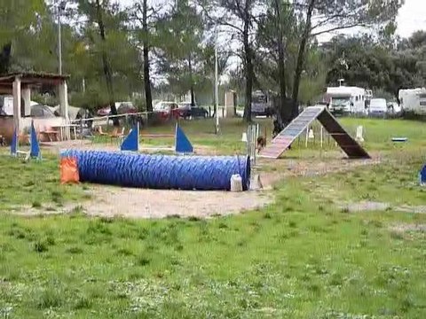 Angie - GPF Brignoles