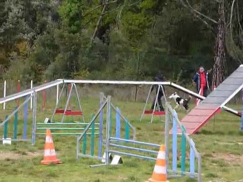 Bulba - Open Brignoles