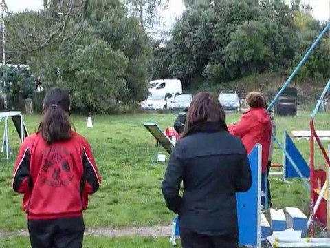 Domino - GPF Brignoles