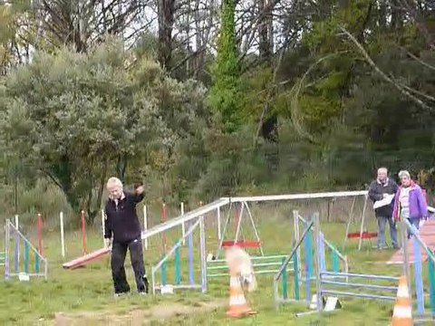 Taz - Open Brignoles