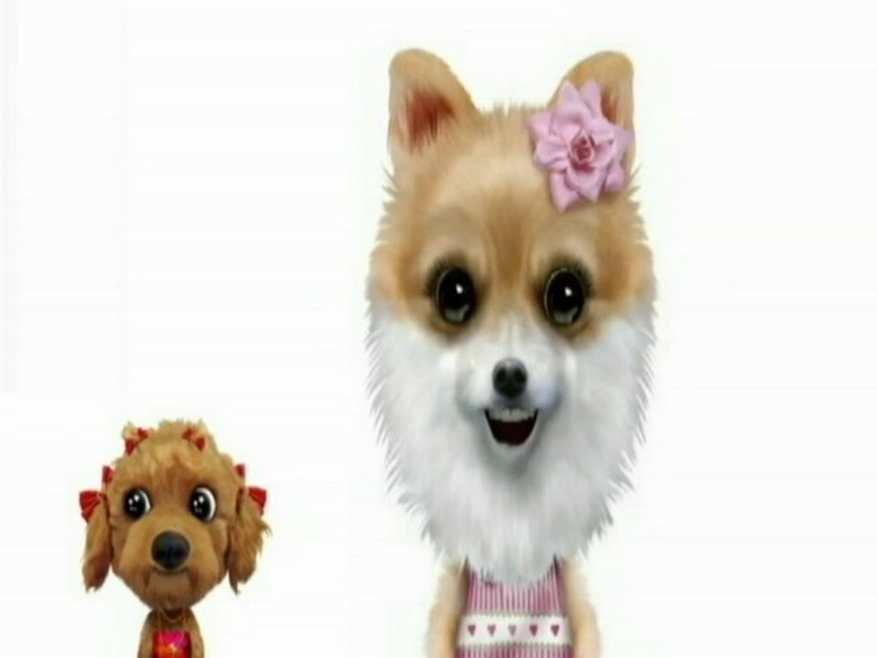 Puppies 4 Sale - Quality Puppies for Sale - Pug puppies for