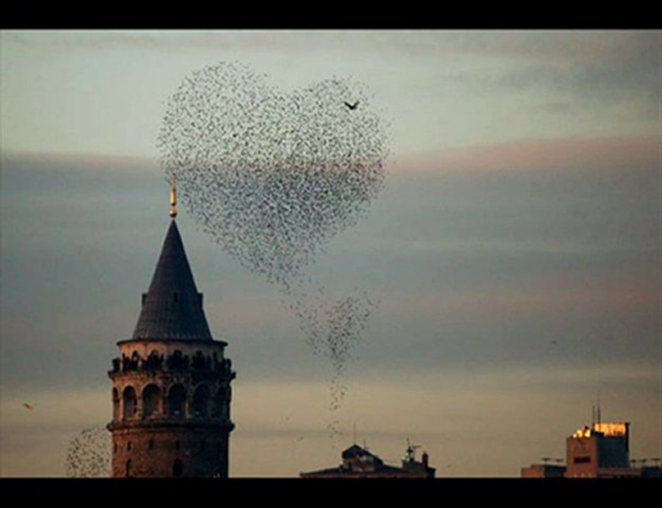 İREM - HAYALET SEVGİLİM