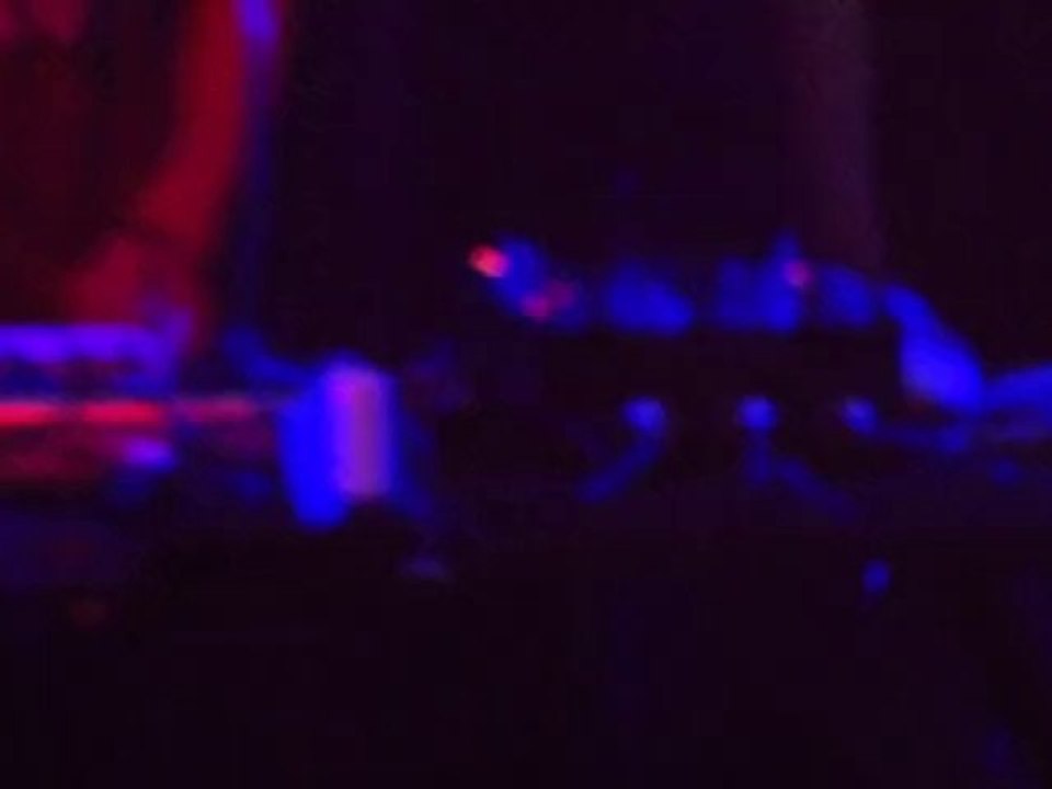 Bioooo - Automatic1(渋谷club asia Live)