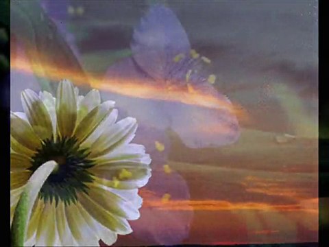 Taner Özdemir Kimim var Gitmek sosyetekaradeniz.com