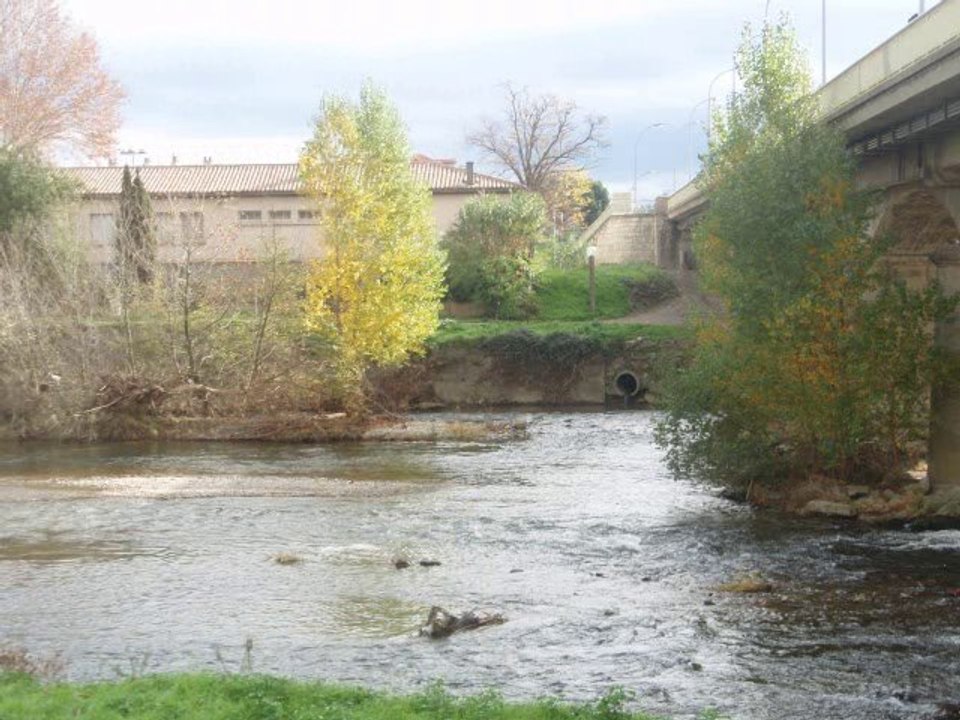 Carcassonne, la cité le 21 novembre 2010