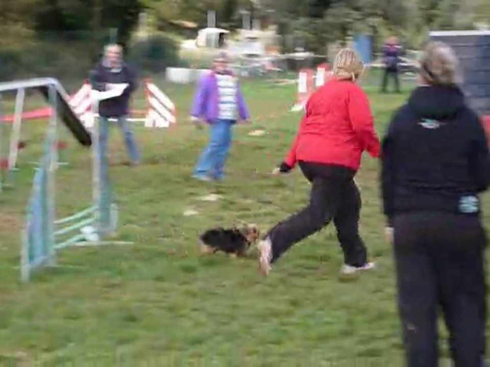 Bambou - Open Brignoles