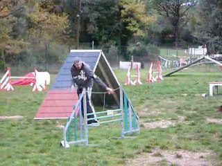 Brownie - Open Brignoles