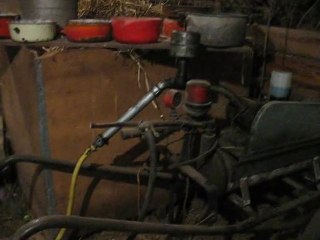 traite de VIrette, Bretonne pie noir