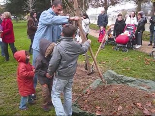 Plantation de l'Arbre des Bébés 2010