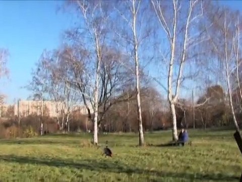 Радиуоправляемый вертолет Double Horse Volitation 9053