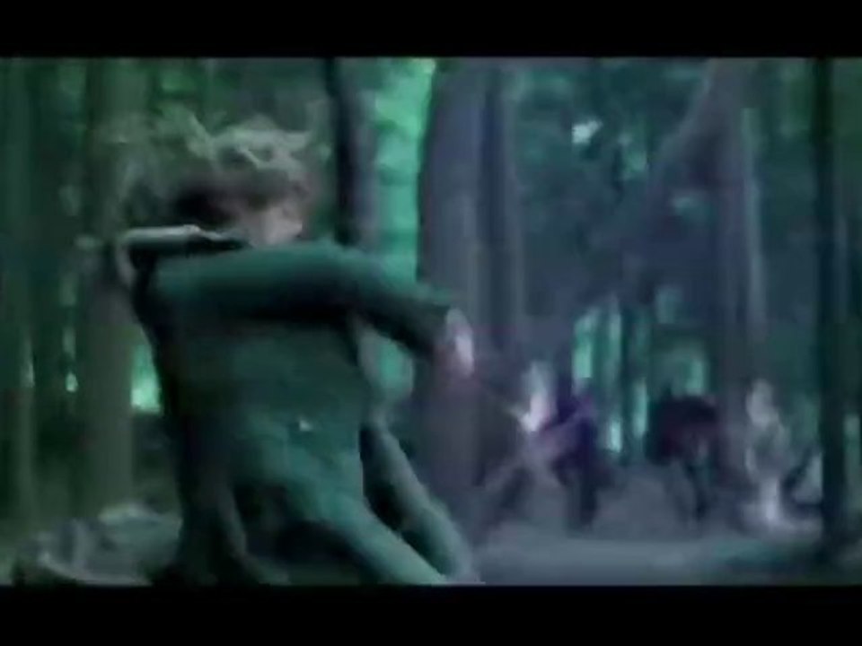 Harry Potter et les reliques de la mort - Bande annonce