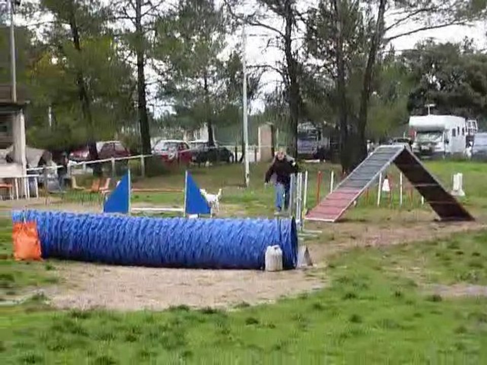 Daisy - GPF Brignoles