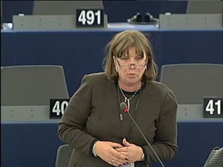 Norica Nicolai on 10th anniversary of UN Security Council re