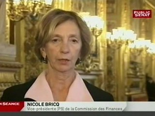 Interview Loi de finances 2011-Public Sénat