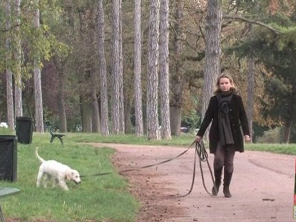 L'aider à dissiper sa peur de l'inconnu