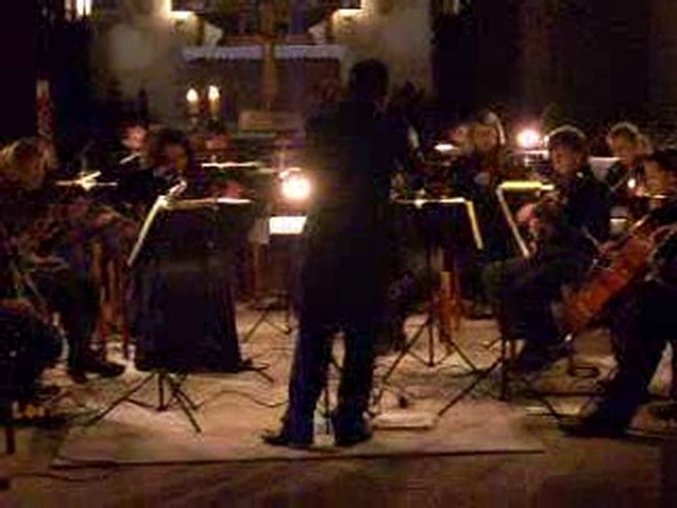 nevit_kodallı_telli_turna