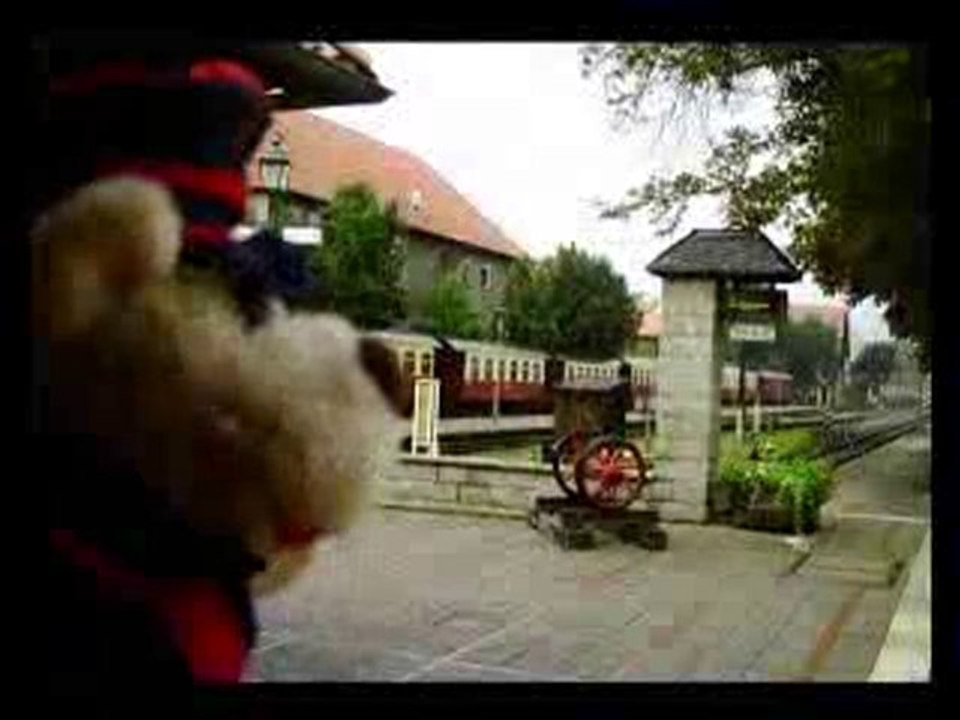 Schaffi der HSB-Teddybär fährt auf den Brocken