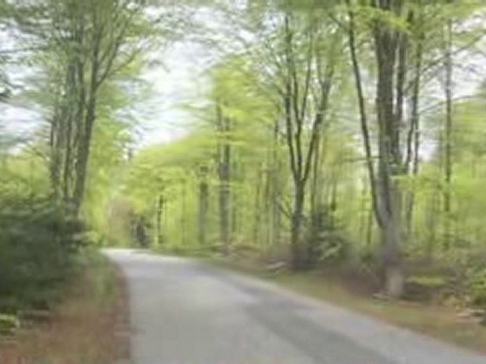 Psykoterapeuter Fjerritslev Livsterapeuten