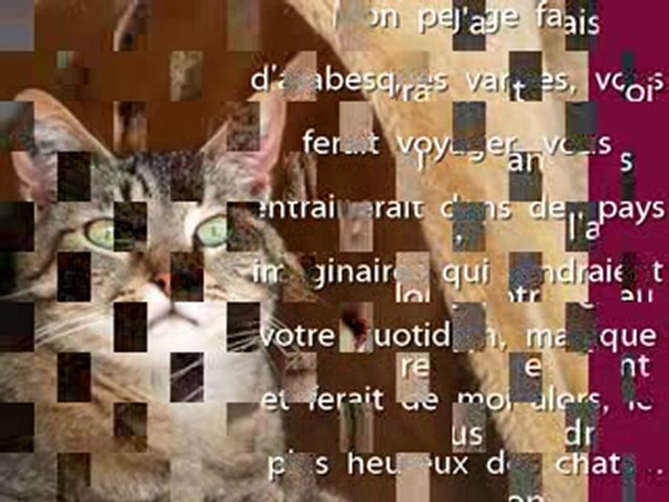 BLITZ vous attend au Refuge de Beauregard