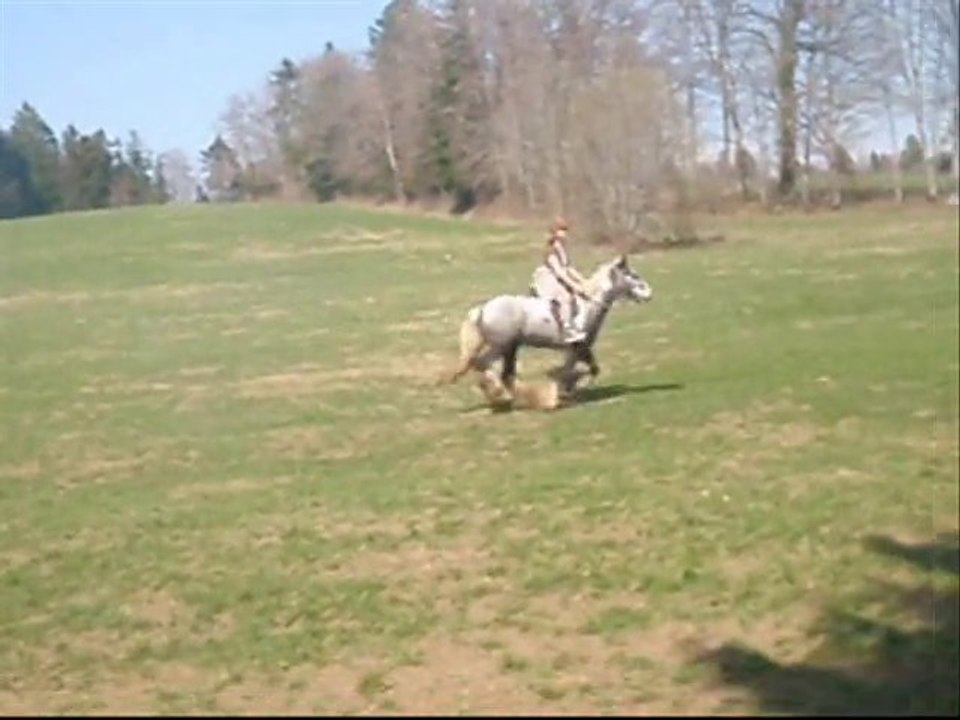 Tao, 1an et demi ensemble