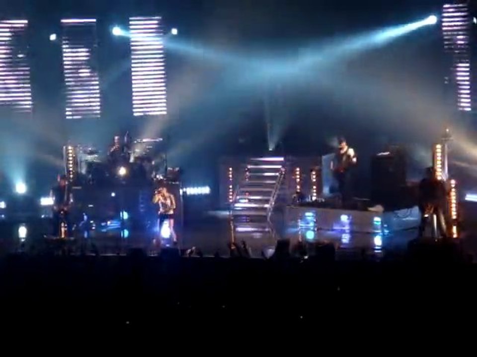 SUPERBUS BUTTERFLY zenith Orleans