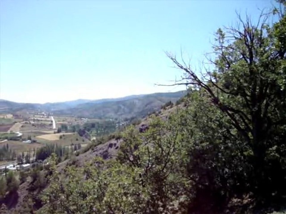 Alucra Hasreti Çekenlere Gelsin...www.alucra.com