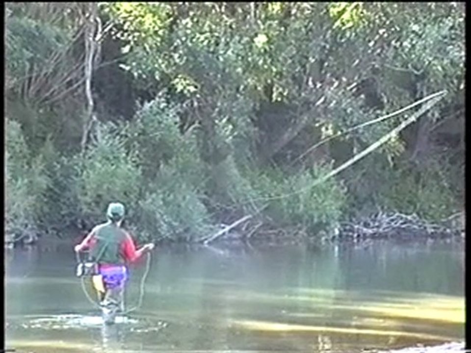 PÊCHE À LA MOUCHE SÈCHE , MES DÉBUTS .