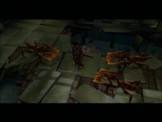 Onimusha: Warlords 16/Les Insectes
