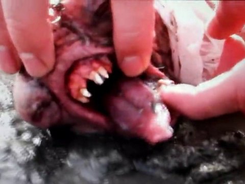 Neill Blomkamp - Mysterious Teaser Elysium [VO|HD]