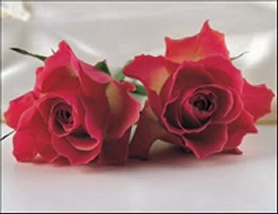 Fatih ŞİMŞEK - Sen Sen Sen !!