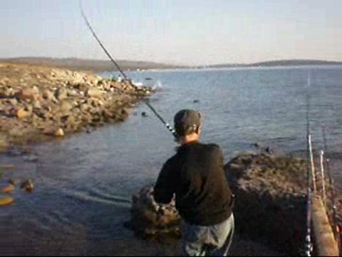 balikcilar.org& Hasan BALIKÇI