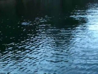 Rabotte au Bouchet Saint Nicolas