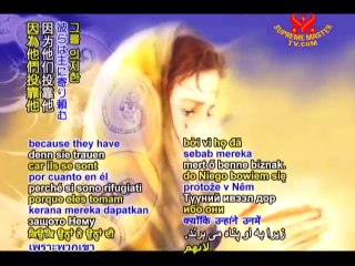 From Judaism's Holy Tanakh:Book of Psalms,Chapters 34-45