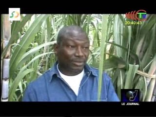 Une mission du projet Congo AN dans la Likouala