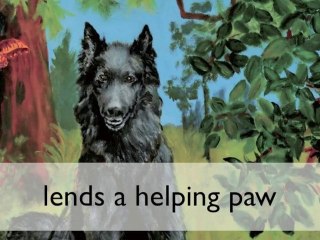 Camping with kids, search and rescue dogs, staying safe, kid
