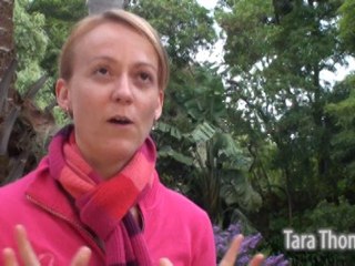 Healing Highlights of 2010 www.MarisaRusso.com